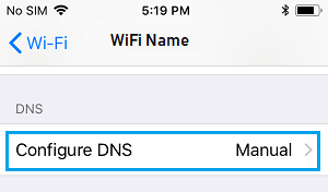 Configurar la opción DNS en el iPhone