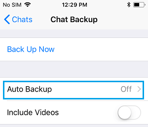 WhatsApp Auto Backup Option On iPhone