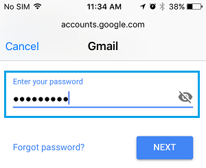 Enter Gmail Password 