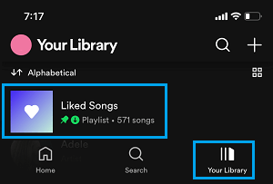 Abre las canciones del gusto en Spotify en el iPhone