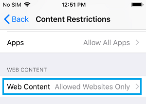 Opción para establecer restricciones de contenido web en el iPhone