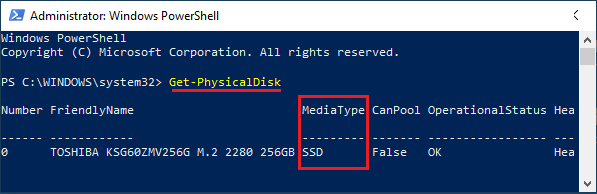 Run Get-PhysicalDisk PowerShell Command