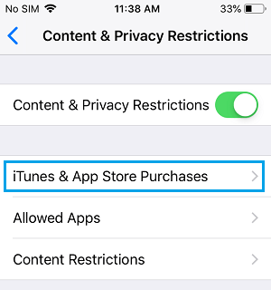 iTunes & App Store Purchases Settings Option on iPhone