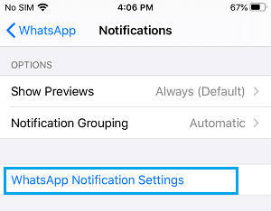 Pestaña de ajustes de las notificaciones de WhatsApp en el iPhone