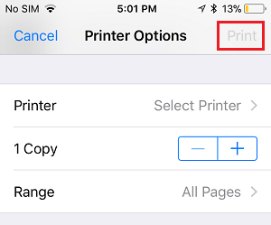 Print Button on Printer Options Screen on iPhone