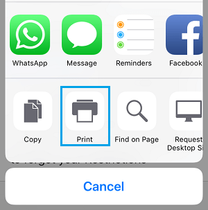 Print Option on iPhone