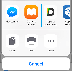 Copy to iBooks icon on iPhone Share Menu Copy to iBooks icon on iPhone Share Menu