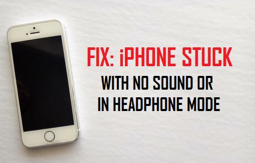 Fix: iPhone Stuck in Headphone Mode