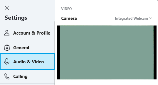 Skype Audio and Video Screen