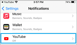 YouTube on iPhone Settings Screen