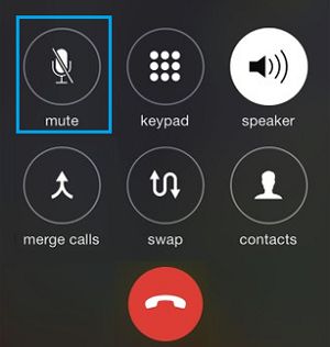 iPhone Mute Call Button