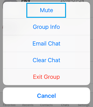 Mute WhatsApp Chat Option on iPhone