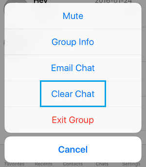 WhatsApp Group Clear Chat Option On iPhone