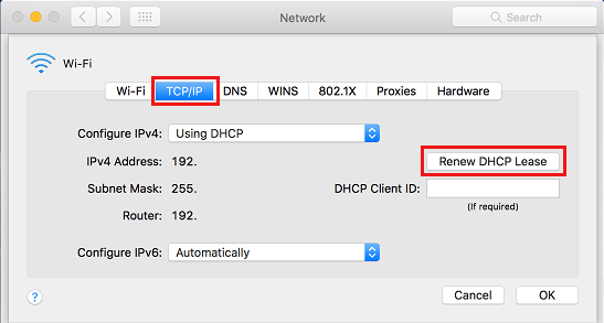 Renovar la opción de arrendamiento DHCP en el Mac