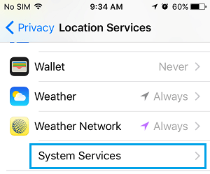 System Services Tab on iPhone Location Services Screen