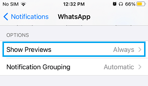 Show WhatsApp Previews Settings Option on iPhone 