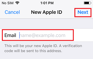 Enter New Apple ID Email Address On iPhone