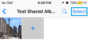 Select Photos to Delete From iCloud Shared Album