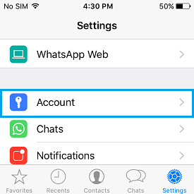 WhatsApp Account Option on iPhone