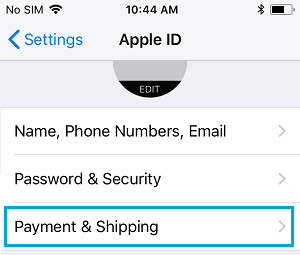 Payment and Shipping Option On iPhone