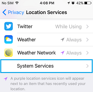 System Services iPhone