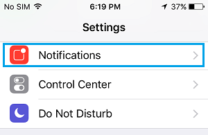 Notifications Setting Option on iPhone