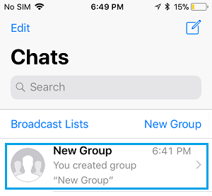 Open WhatsApp Group Chat on iPhone