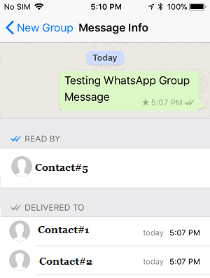 Read By and Delivered To Status on WhatsApp Group Info Screen on iPhone