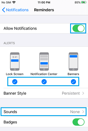 Notification Settings For Reminders on iPhone