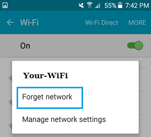 Forget Network Option on iPhone