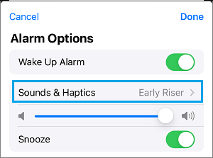 Sound & Hepatics Settings Option on iPhone