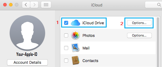 iCloud Drive Options Tab on Mac