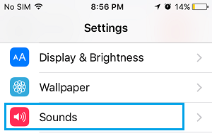 Sounds Tab on iPhone