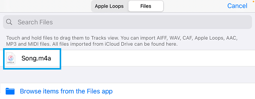 Imported File in GarageBand App