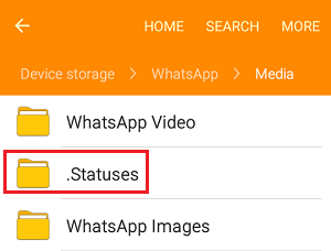 Statuses Folder in File Manager