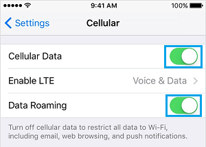 Disable Data Roaming and Cellular Data On iPhone