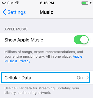 Cellular Data For Music Option on iPhone 