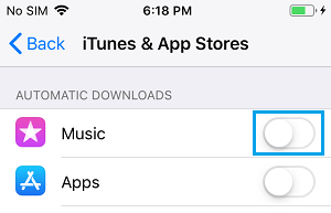 Disable Automatic Downloads on iPhone