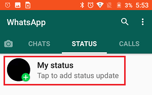 My Status Option in WhatsApp