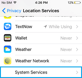 System Services Option on iPhone