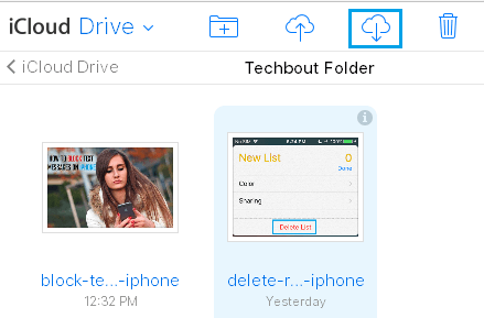 Download Files From iCloud Drive