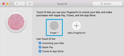 Remove Fingerprint on MacBook Pro