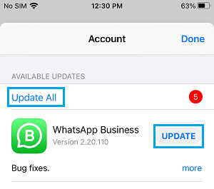 Update All or Individual App in App Store on iPhone