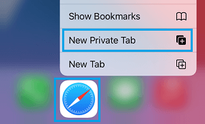 Abre la pestaña de Navegación Privada en el navegador Safari en el iPhone