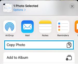 Copy Photo option in iPhone Photos App