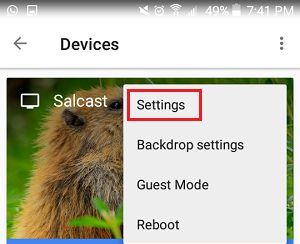 Chromecast Settings Option