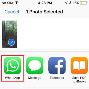 Share Photos Using WhatsApp on iPhone