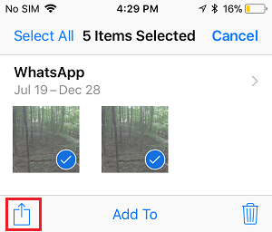 Share Icon in Photos App on iPhone