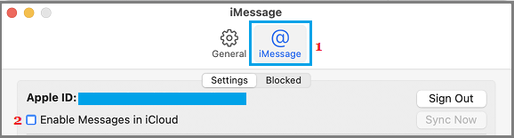 Disable iCloud Messages on Mac