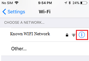 WIFI Network Properties Icon on iPhone